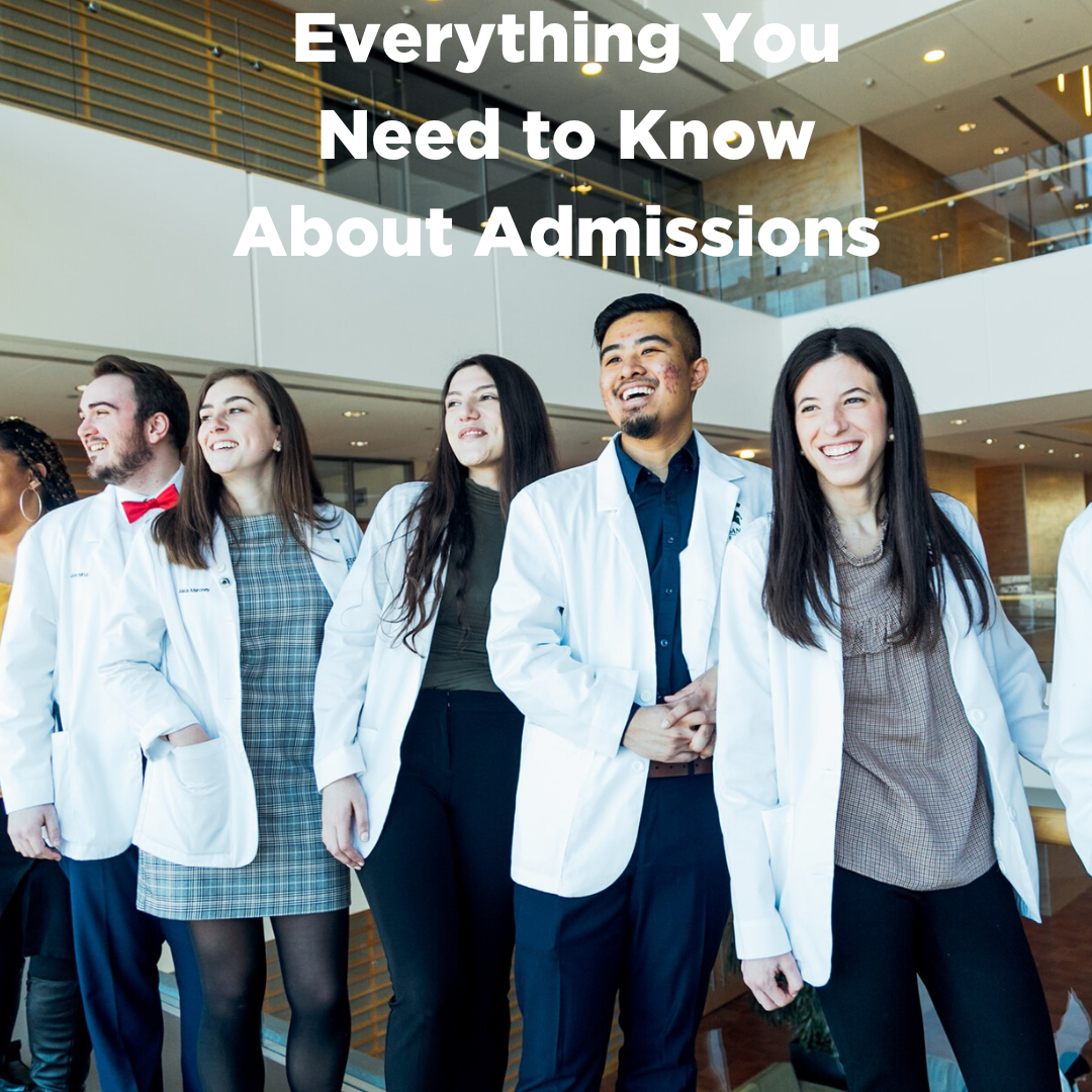 Everything You Need to Know About Admissions